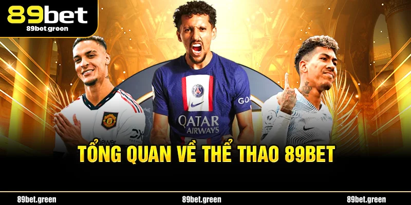 Tổng quan về thể thao 89bet