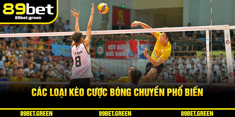 Những hình thức cược bóng chuyền phổ biến
